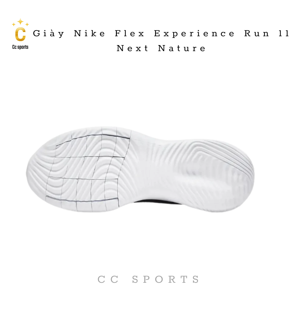 Giày Nike  Flex Experience Run 11 Next Nature