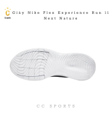 Giày Nike  Flex Experience Run 11 Next Nature