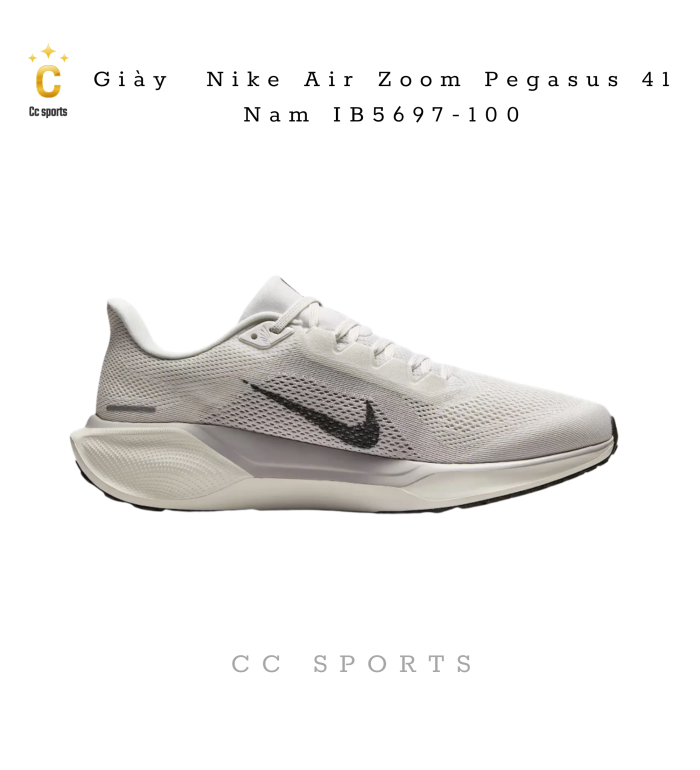 Giày Nike Air Zoom Pegasus 41 Nam IB5697-100