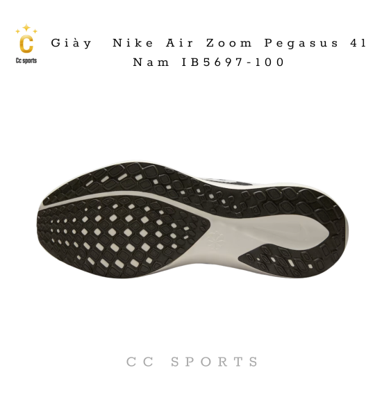 Giày Nike Air Zoom Pegasus 41 Nam IB5697-100