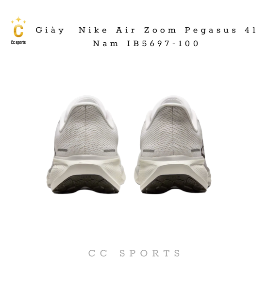 Giày Nike Air Zoom Pegasus 41 Nam IB5697-100