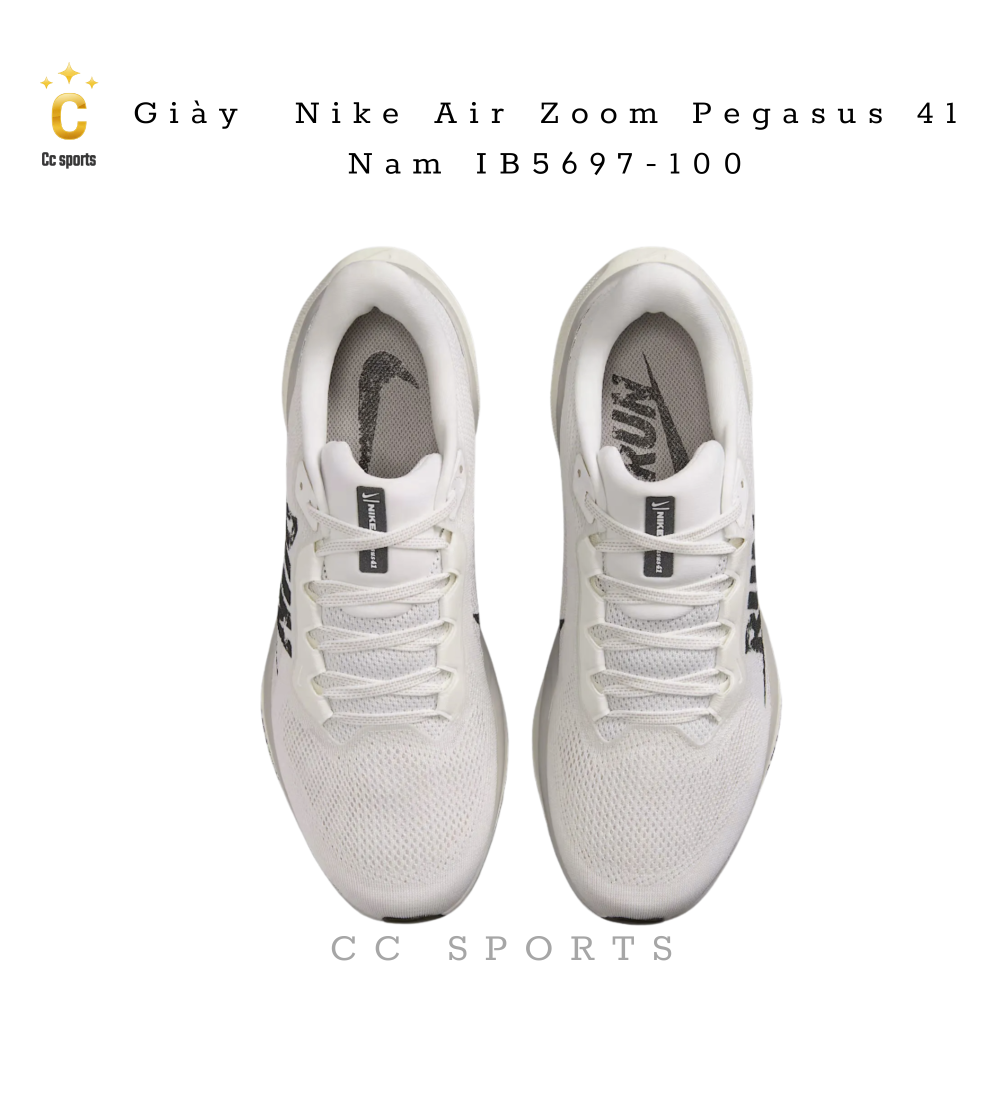 Giày Nike Air Zoom Pegasus 41 Nam IB5697-100