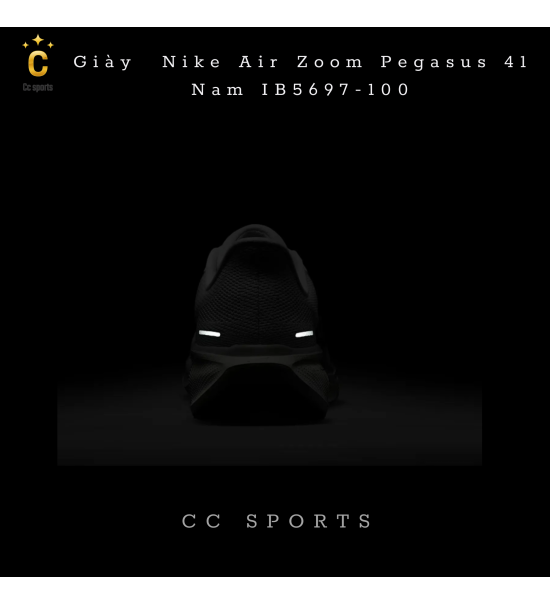 Giày Nike Air Zoom Pegasus 41 Nam IB5697-100