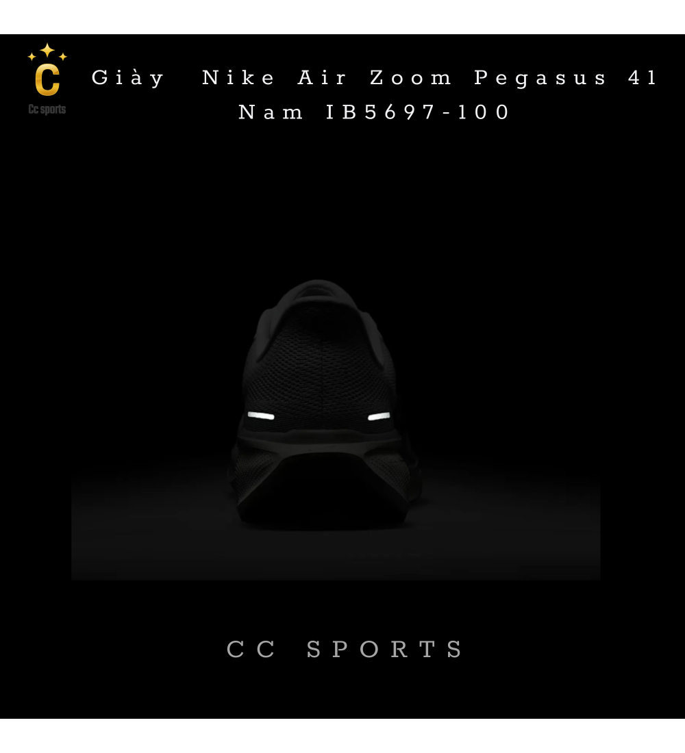 Giày Nike Air Zoom Pegasus 41 Nam IB5697-100