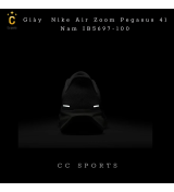 Giày Nike Air Zoom Pegasus 41 Nam IB5697-100