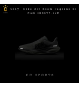 Giày Nike Air Zoom Pegasus 41 Nam IB5697-100