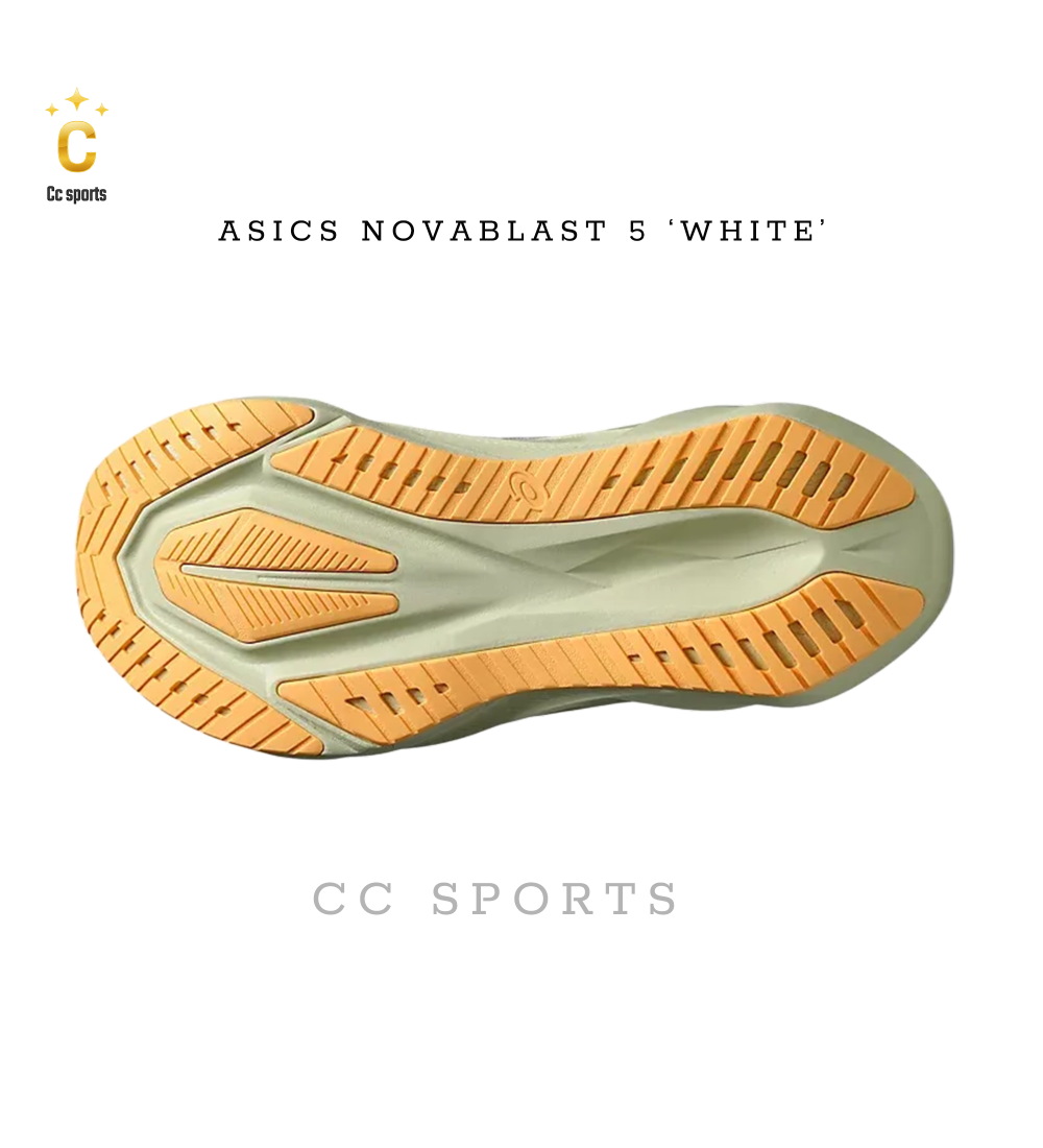 Giày Asics Novablast 5 ‘white’  WOMEN