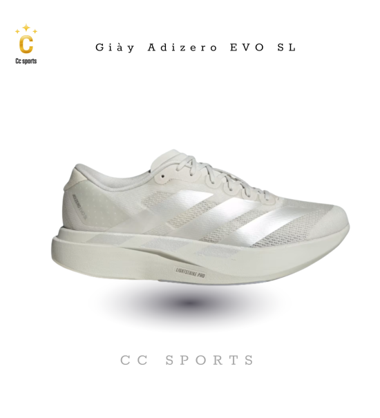 Giày Nam Adidas Evo