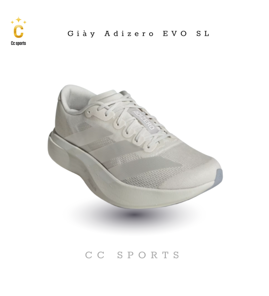 Giày Nam Adidas Evo