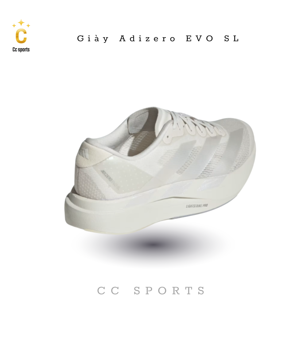 Giày Nam Adidas Evo