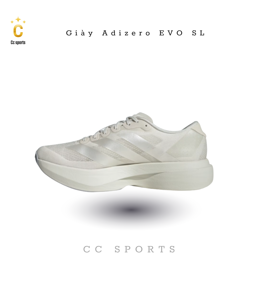 Giày Nam Adidas Evo