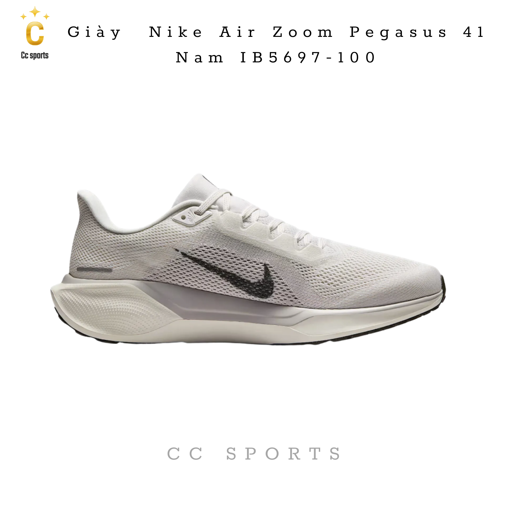Giày Nike Air Zoom Pegasus 41 Nam IB5697-100